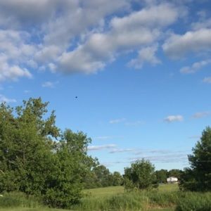 Meet your Posher, Julianne